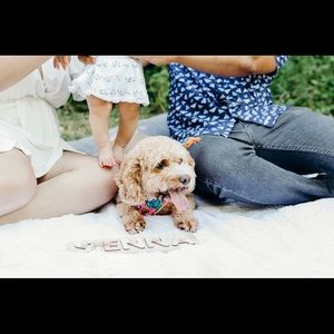 Meet your Posher, Nav